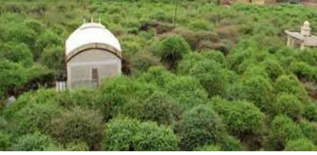 उत्तर प्रदेश के मथुरा वृंदावन में स्थित निधिवन की मान्यता