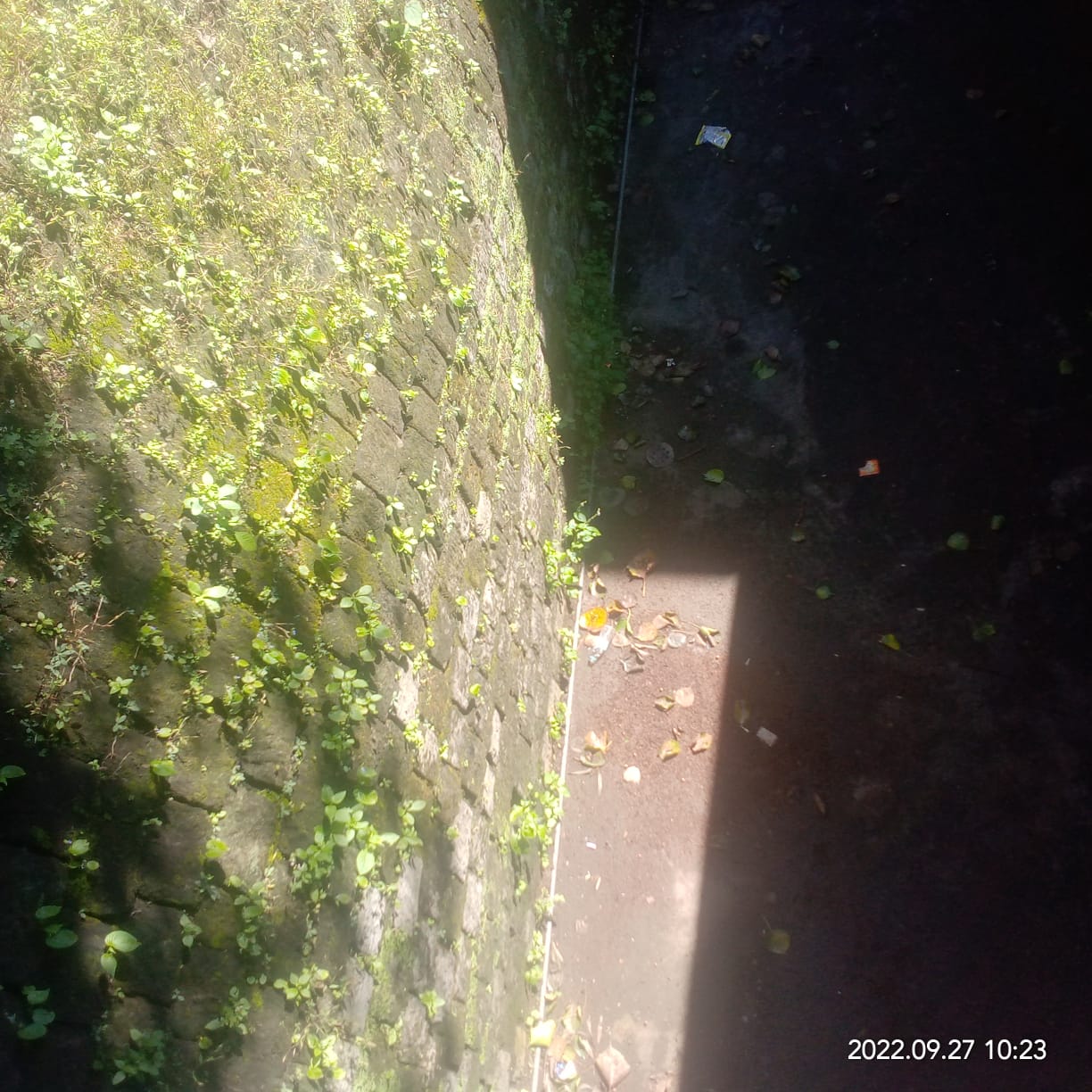 सुनो सरकार :  सुविधाए नहीं दे सकते तो अस्पताल उगी घास तो साफ करवा दो