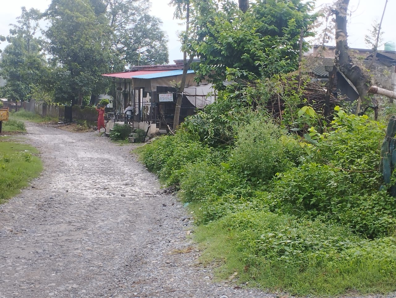 आखिरकार गिरिपार की दशकों पुरानी सड़क को मिली फॉरेस्ट से एनओसी