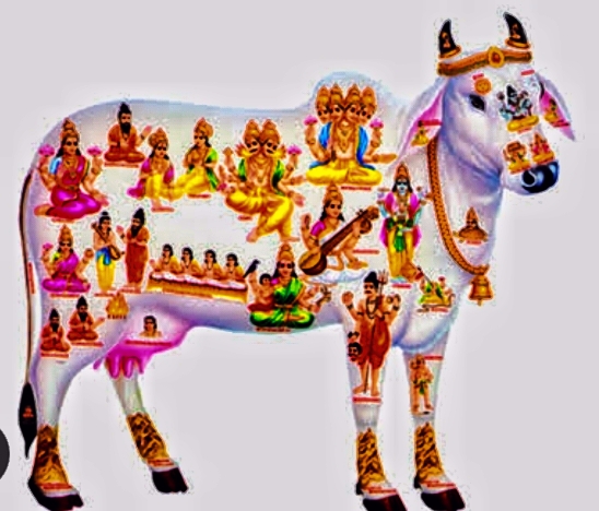 देश भर के राज्यों से होती हुई आज पांवटा में  गौरक्षा जनजागरण यात्रा