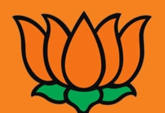 पांवटा बीजेपी महिला मोर्चा की 60 सदस्यीय टीम : पार्षद और प्रधानपत्नियों पर भी जताया विश्वास