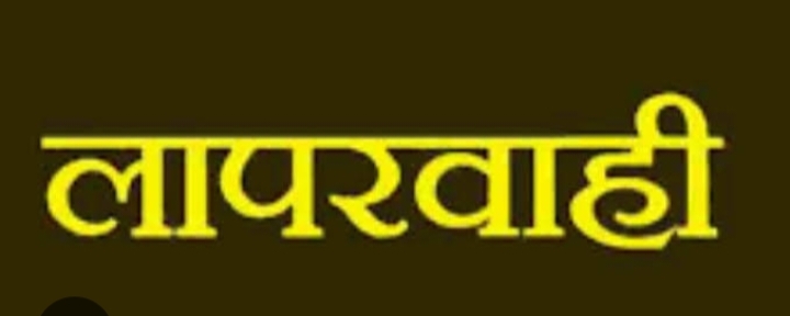 लापरवाही : पीठासीन अधिकारी और सेक्टर ऑफिसर सस्पेंड