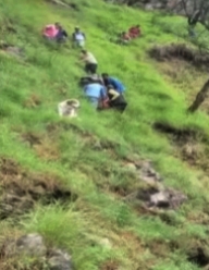 पति -पत्नी की खाई में गिरने से मौत : एक दिन पहले मनाया था बेटी का जन्मदिन