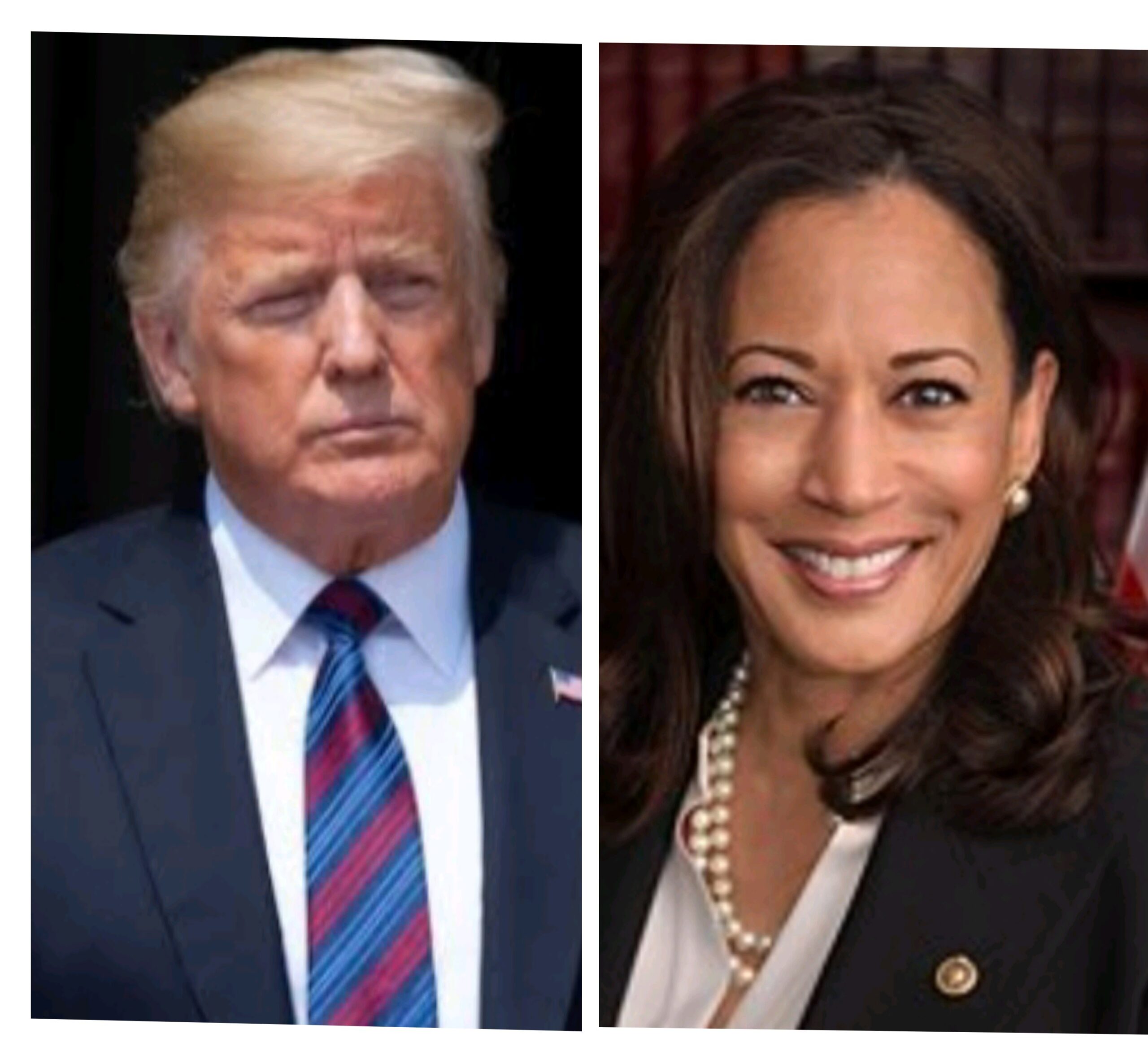 अमेरिकी राष्ट्रपति चुनाव के नतीजे ! डोनाल्ड ट्रंप जीते , किसको कितने वोट पड़े