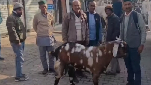 एक ही परंपरा: गिरिपार – जौनसार , इसलिए भी बनता ST का हक