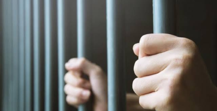 सिरमौर पुलिस की तस्करों पर स्ट्राइक : तीन महीने में 95 भेजे सलाखों के पीछे